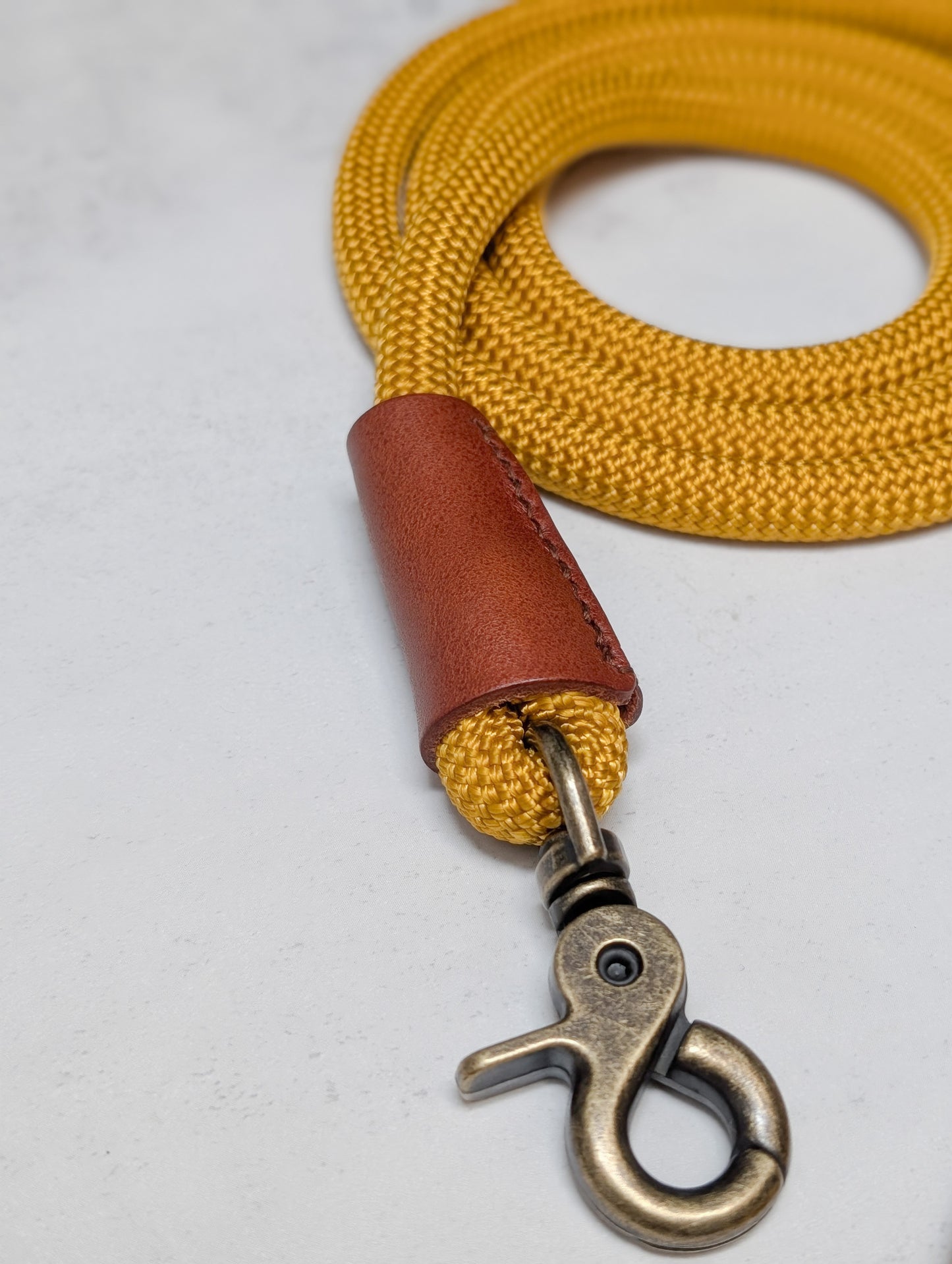 Clasp Lead - Antique Gold