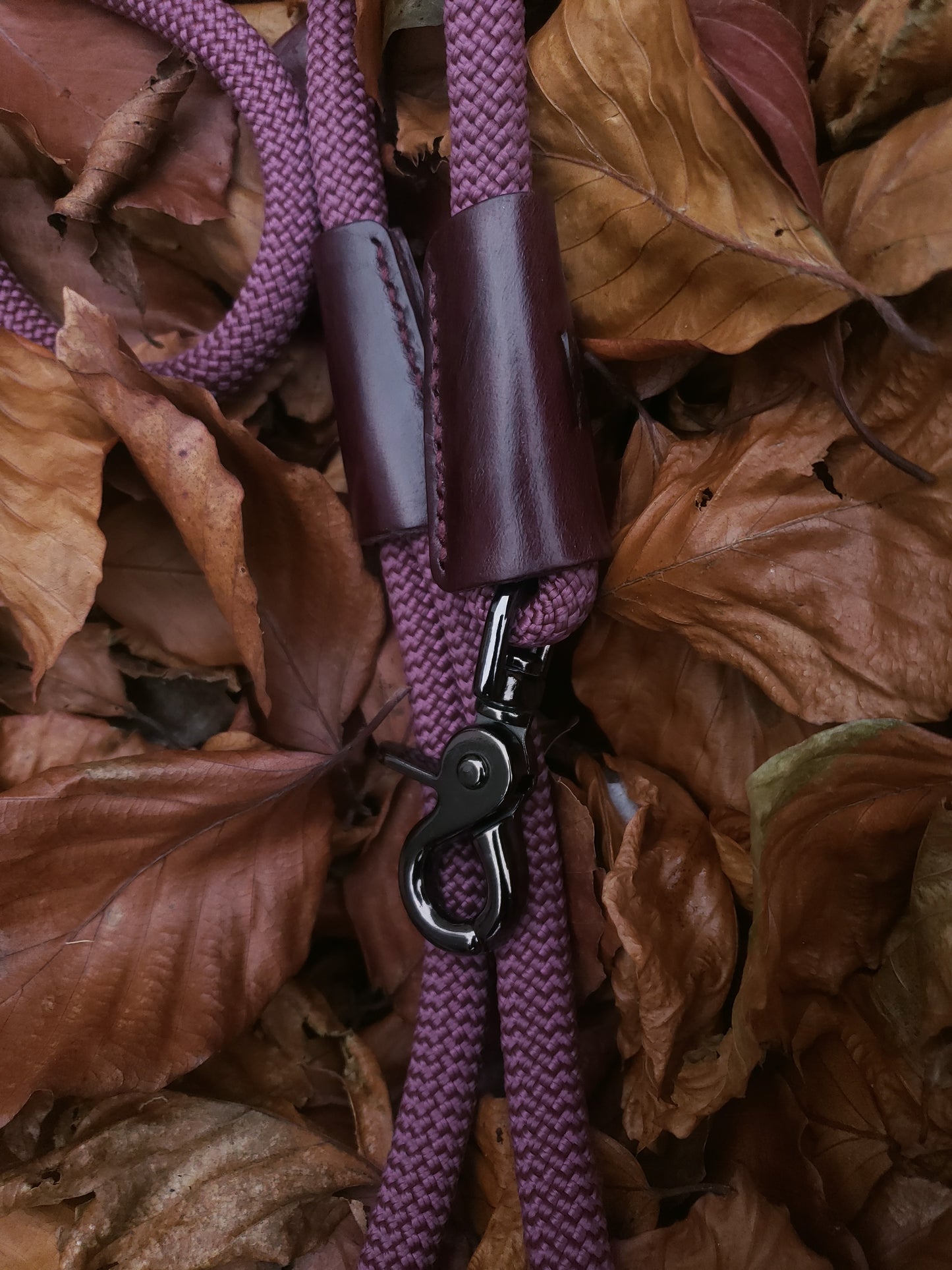 Clasp Lead - Modern Wine Blast