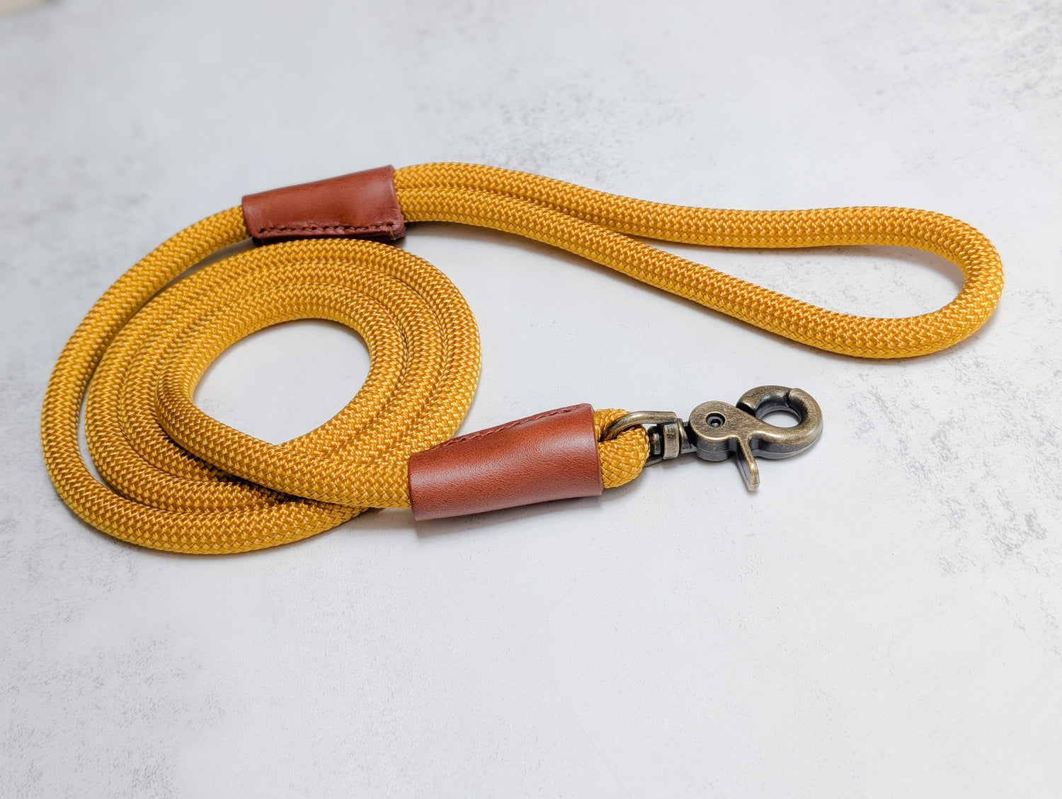 Dog Leads