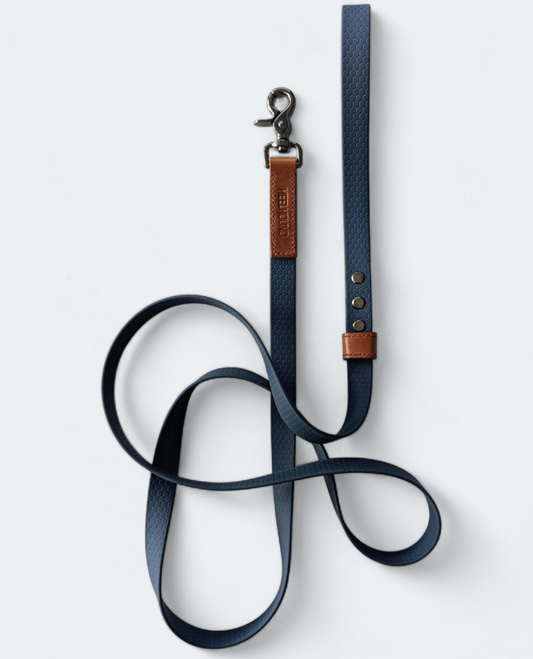 Modern Heritage Lead
