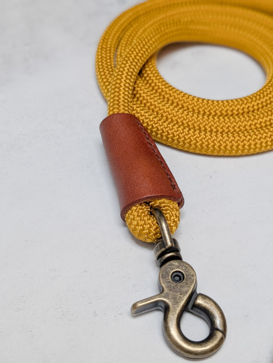 Clasp Lead - Antique Gold
