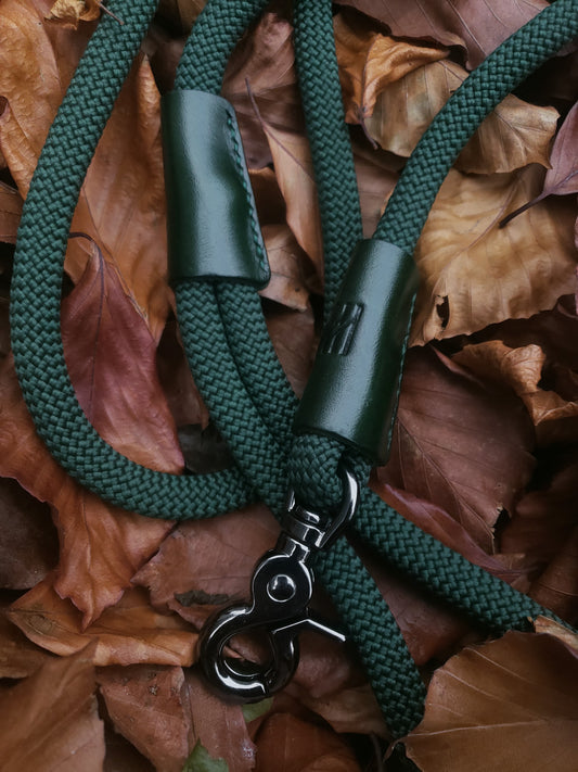 Clasp Lead - Modern Forest Green