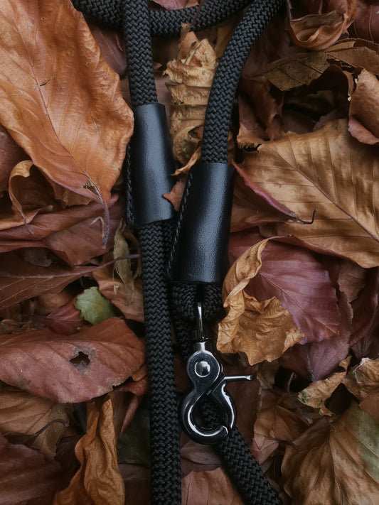 Clasp Lead - Modern Beautifully Black