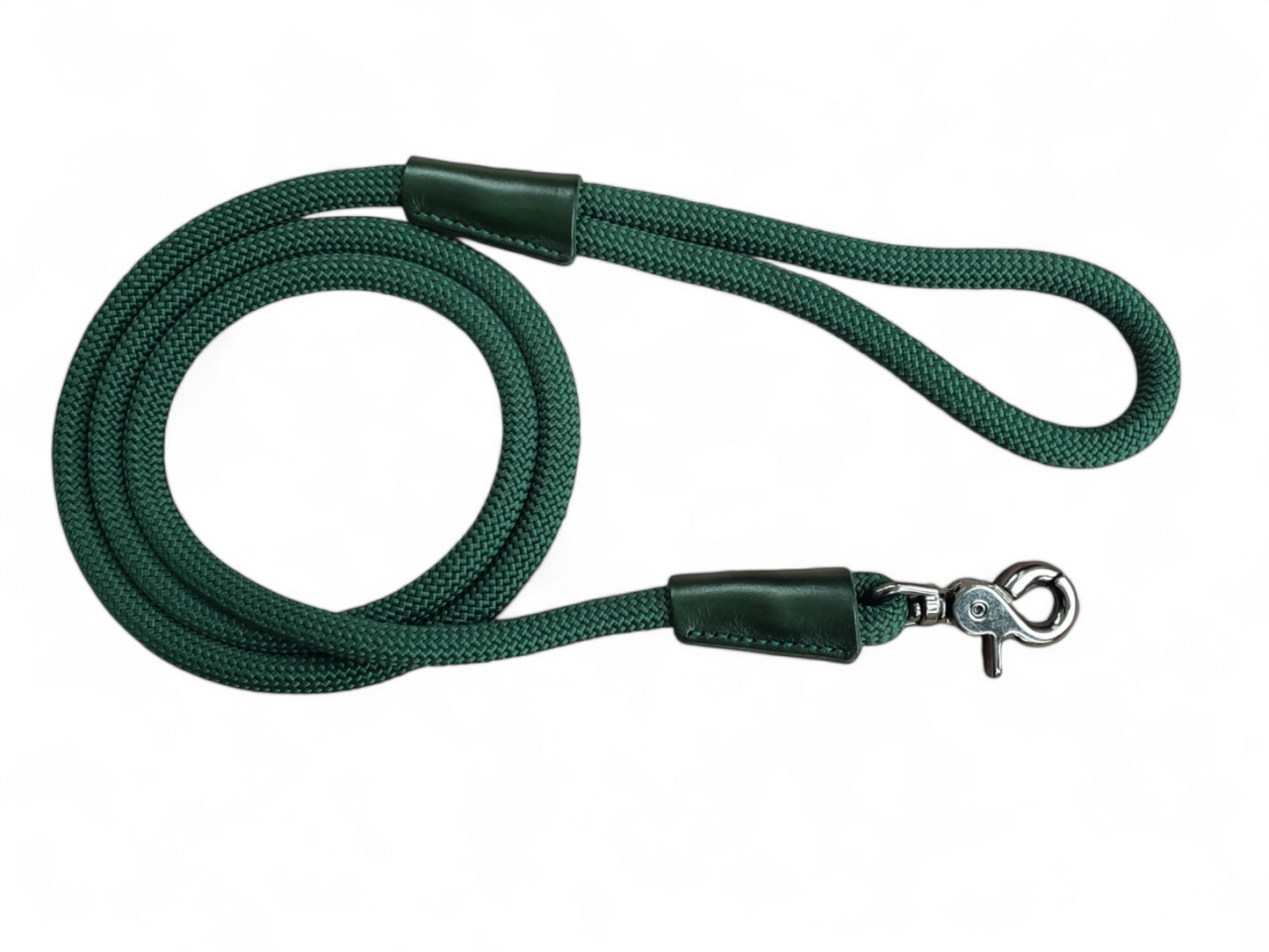 Clasp Lead - Modern Forest Green