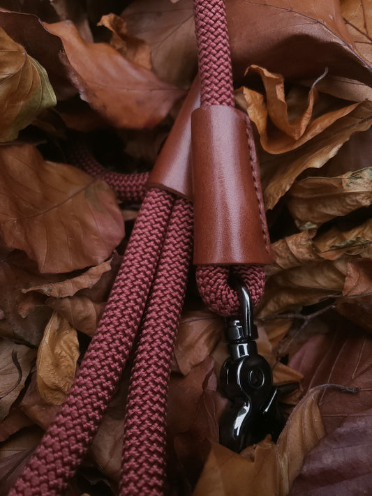 Clasp Lead - Modern Classy Copper